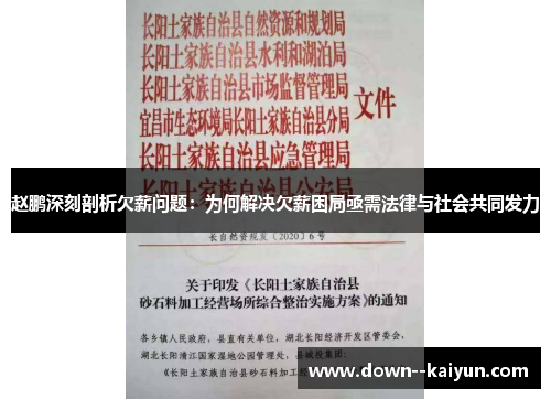 赵鹏深刻剖析欠薪问题:为何解决欠薪困局亟需法律与社会共同发力 赵鹏深刻剖析欠薪问题:为何解决欠薪困局亟需法律与社会共同发力
