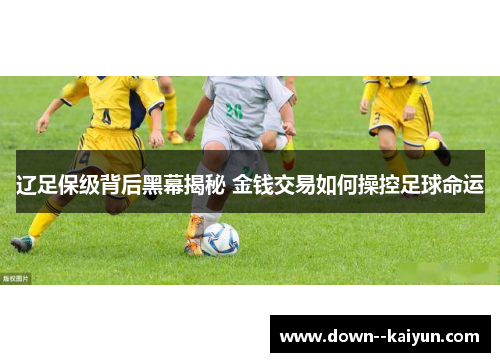 辽足保级背后黑幕揭秘 金钱交易如何操控足球命运