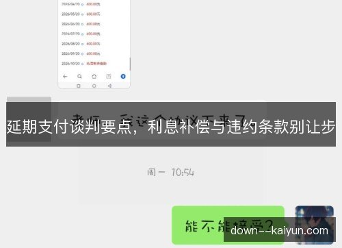 延期支付谈判要点，利息补偿与违约条款别让步